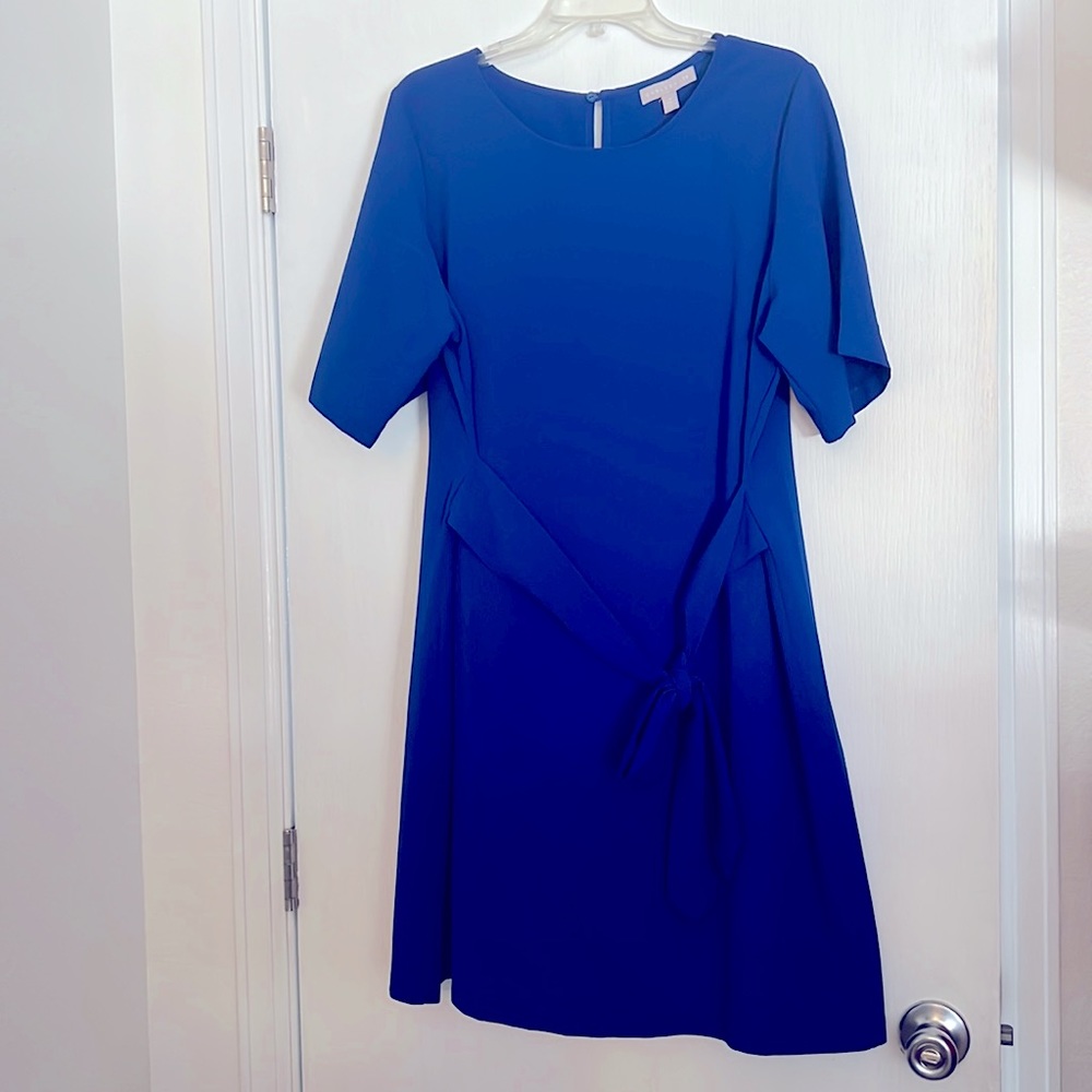 Chelsea28 Cocktail Dress with front belt Size XLnroyal blue